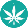 marijuana cannabis education